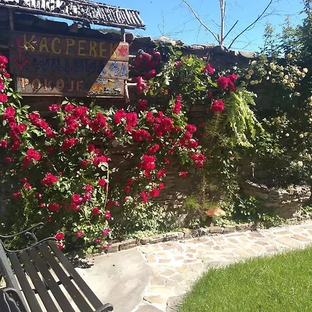 Kacperek W Centrum Willowa 4a Quarto em Acomodações Particulares