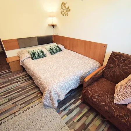 Quarto em Acomodações Particulares Kacperek W Centrum Willowa 4a