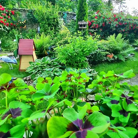 Kacperek W Centrum Willowa 4a * Szczyrk