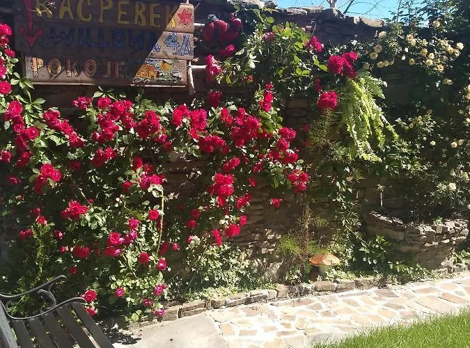 Kacperek W Centrum Willowa 4a בית אירוח