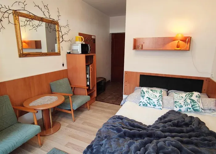 בית אירוח Kacperek W Centrum Willowa 4a